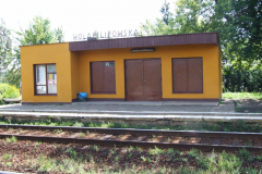 PKP przed rewitalizajcą, 2008