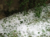 img-0899