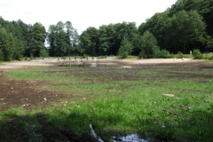 Wroński - staw bez wody, 2008