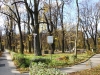 Park Bogackiego nowym produktem turystycznym gminy?