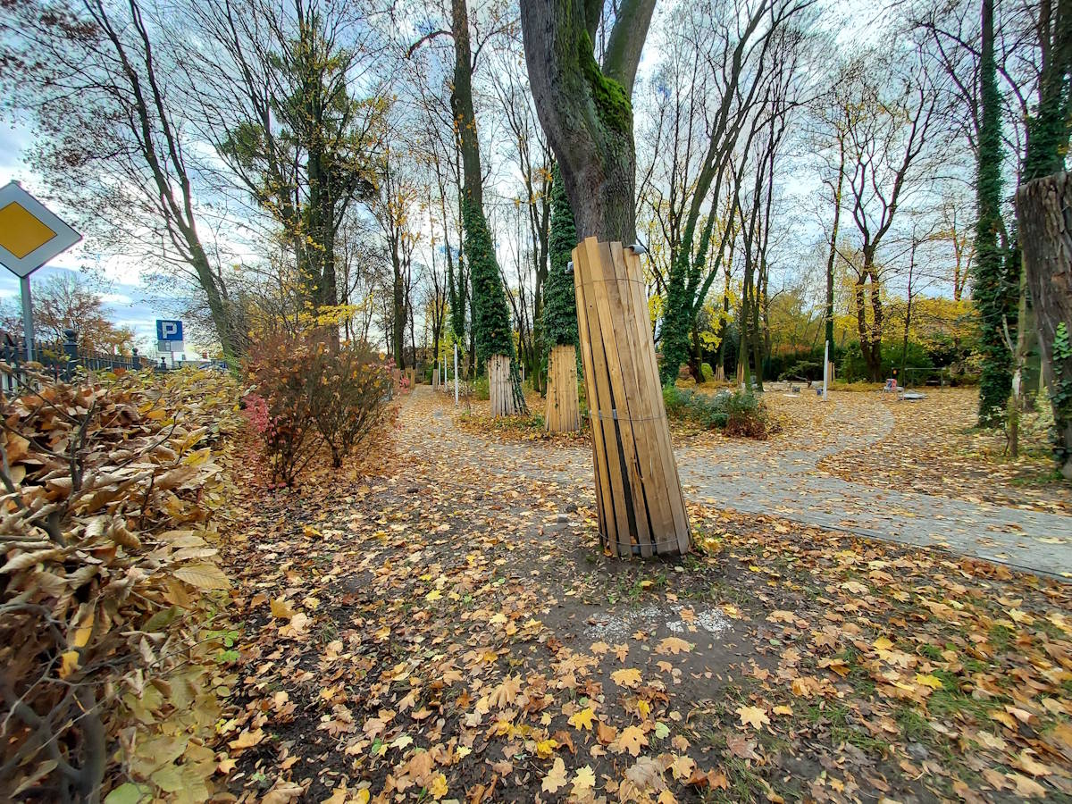 Przyszpitalny park przechodzi zmiany. W planach kolejne inwestycje